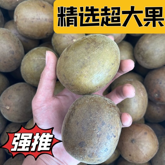 【广西罗汉果产地直销】精选超大果质量保证，【只卖大果】