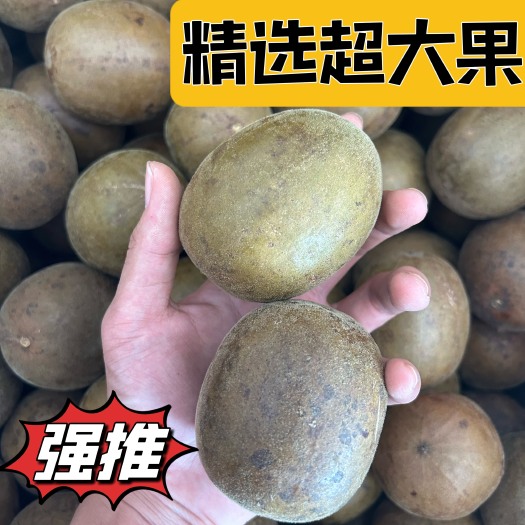 岑溪市【广西罗汉果产地直销】精选超大果质量保证，【只卖大果】