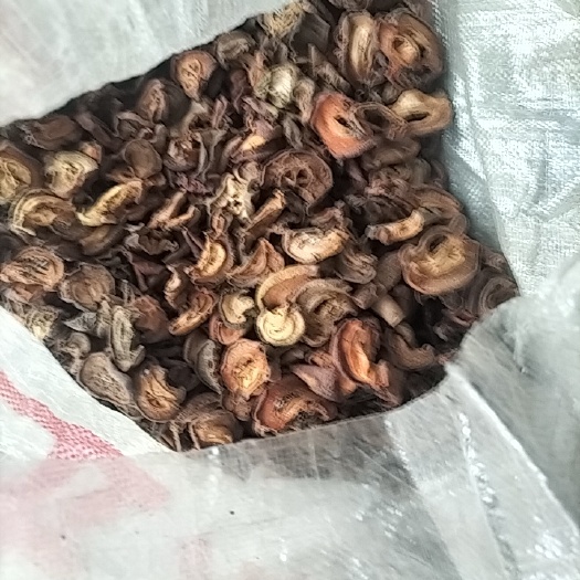 通江县木瓜干片 无硫皱木瓜片