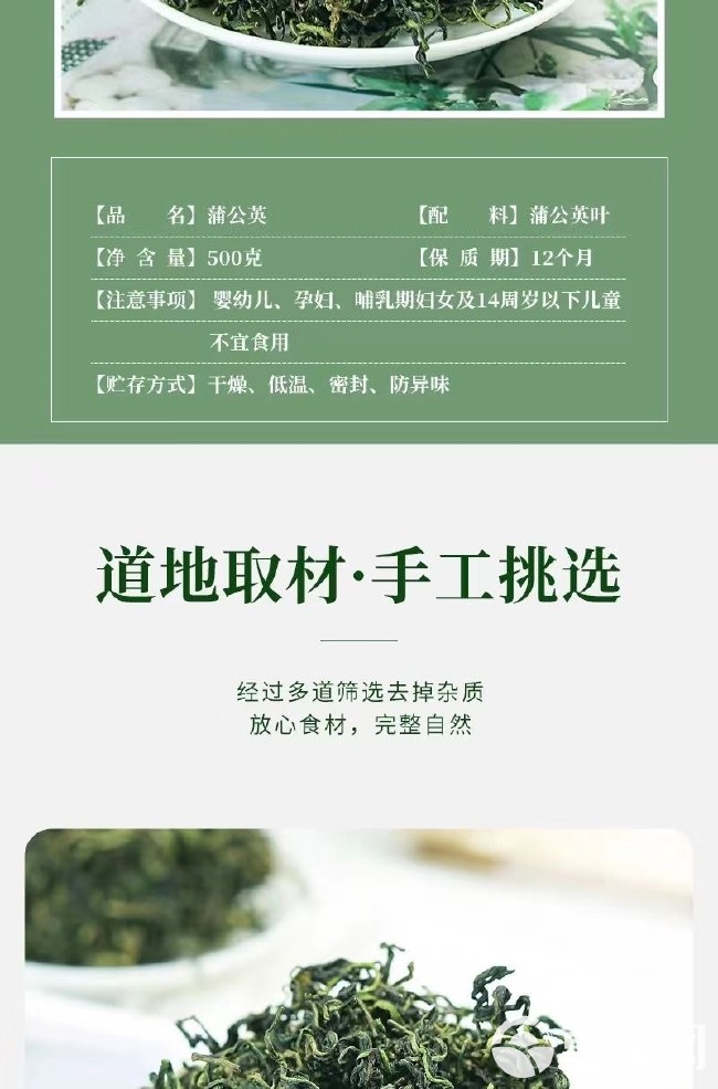 中药材蒲公英茶现货批发新货散装蒲公英叶茶婆婆丁茶直销量大从优