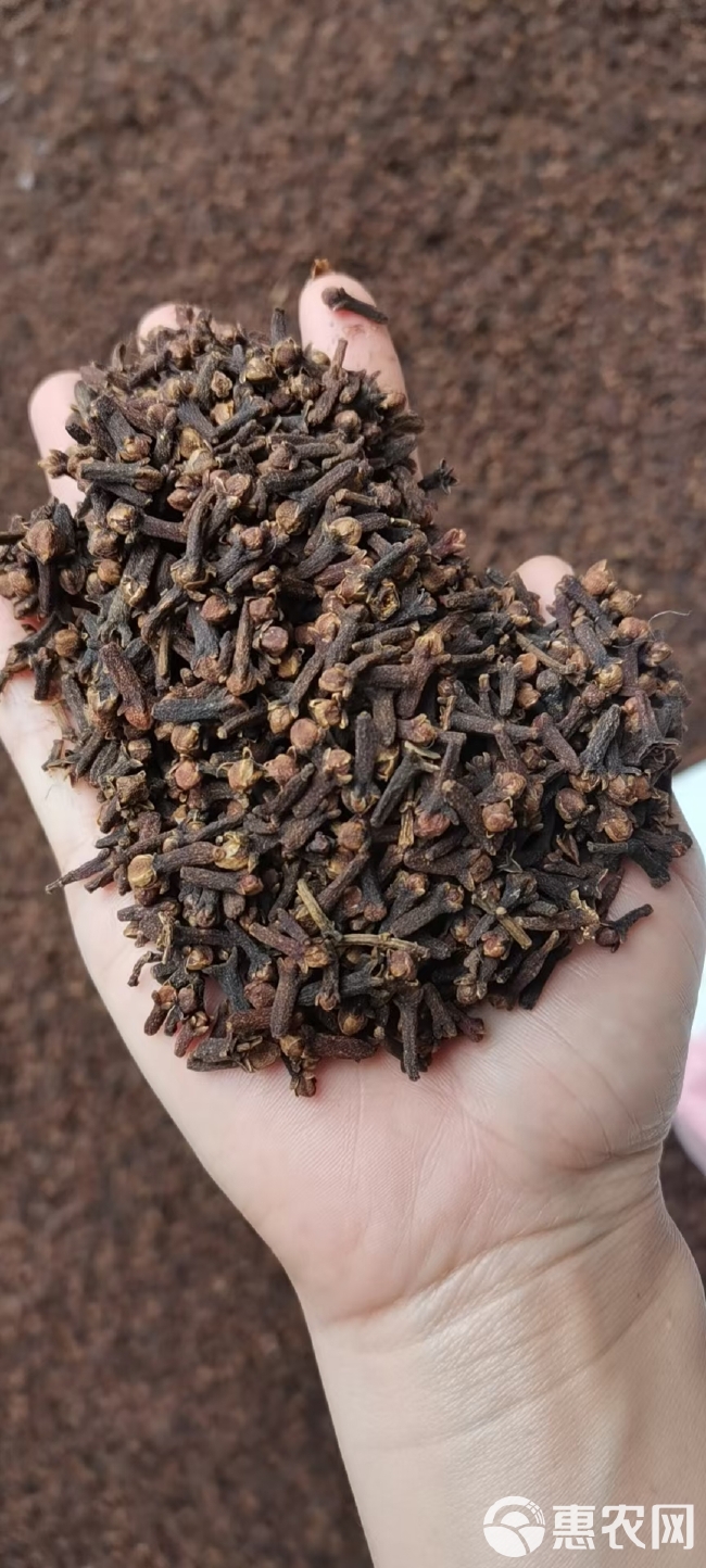 食用公丁香中药材精品大红丁香卤肉钓鱼红酒香料包新货泡茶