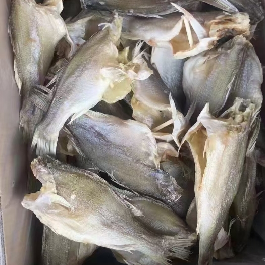 广州鲈鱼干，大中小规格都有