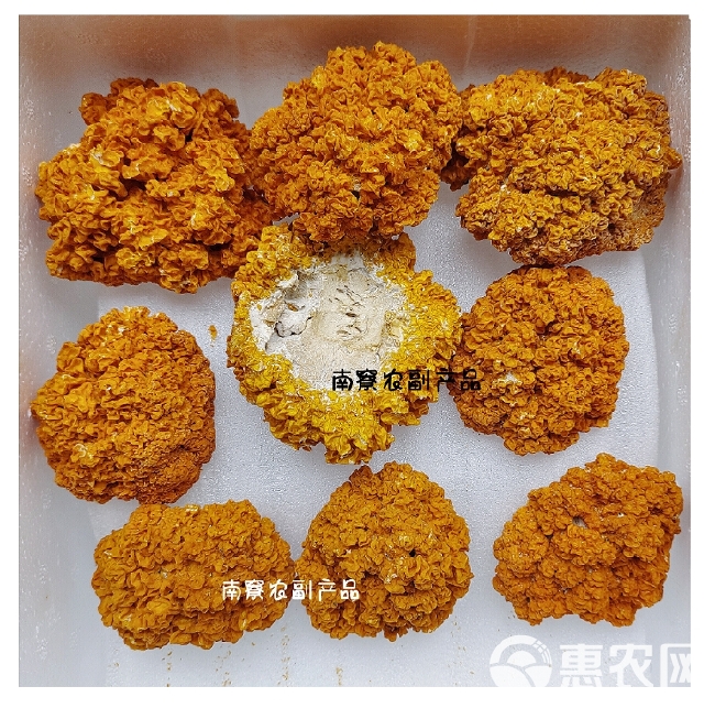 金耳干品100g黄金耳,可泡发七八9倍精品金耳菌足干黄耳