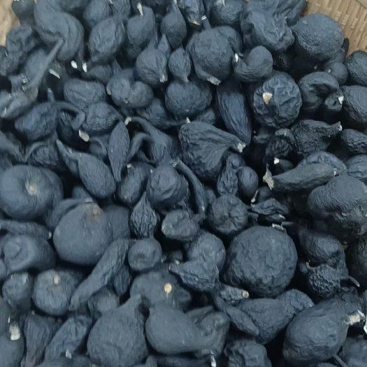 昆明乌灵参，雷震子，鸡枞胆