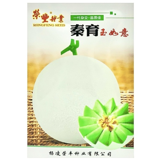玉如意正圆玉菇甜瓜种子薄皮杂交甜瓜种籽抗病白皮绿肉质脆大田孑
