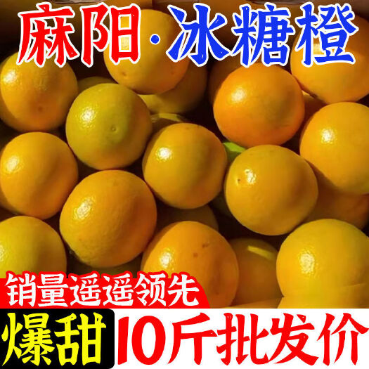 宁洱县湖南麻阳冰糖橙
