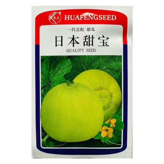 沭阳县日本甜宝杂交一代甜瓜种子超甜早熟香瓜种子薄皮酥脆瓜果种籽易种