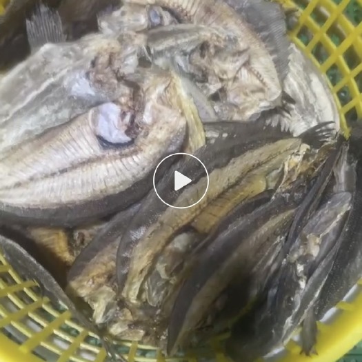 惠来县比目鱼干￼ ￼大地鱼 潮汕特产￼ 懂货的来聊￼