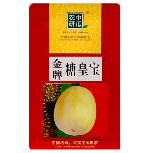 沭阳县金牌糖皇宝甜瓜种子早熟黄白皮抗逆性强耐贮运糖度高基地甜瓜种孑
