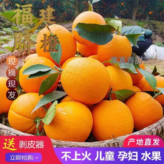 晋江市【当季新鲜】水果橙子福建高山甜橙脐橙非赣南脐橙大果