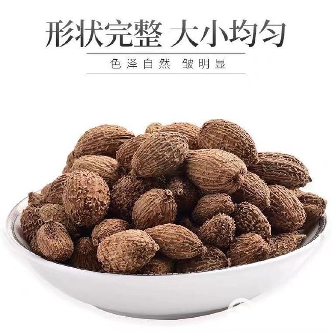 砂仁 长砂仁 圆砂仁 各种香料批发量大从优欢迎咨询选购