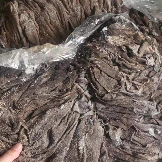 柳州牛百叶毛肚一件代发千层肚火锅食材批发牛百叶