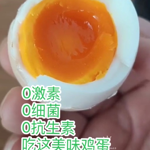 江阴市酵素富硒鸡蛋