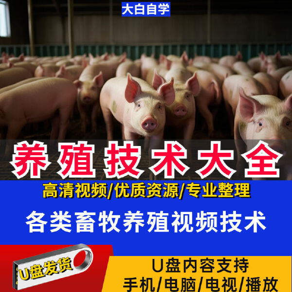 养殖技术视频教程U盘鸡鸭鹅兔猪牛羊蝎子蚯蚓黄鳝等家禽教学优盘