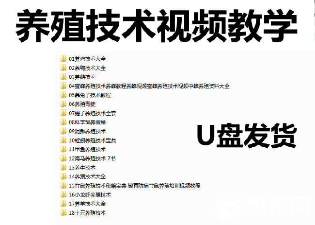 养殖技术视频教程U盘鸡鸭鹅兔猪牛羊蝎子蚯蚓黄鳝等家禽教学优盘