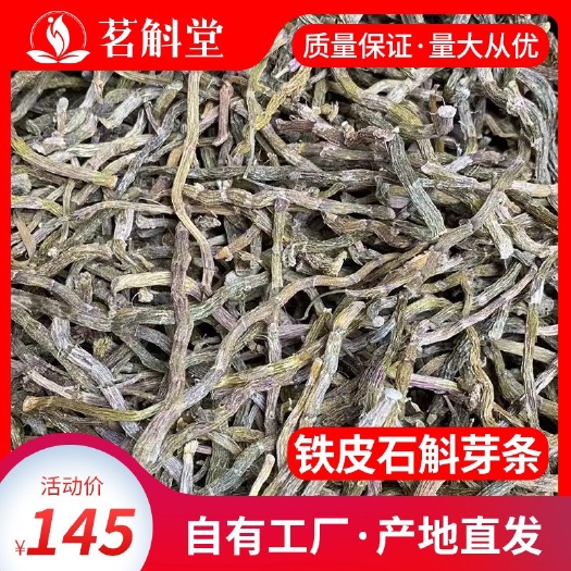 昆明铁皮石斛芽条