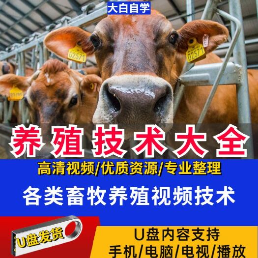 大悟县养殖技术视频教程U盘鸡鸭鹅兔猪牛羊蝎子蚯蚓黄鳝等家禽教学优盘