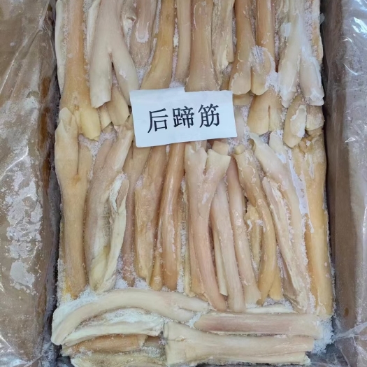 沈阳生牛蹄筋 后蹄筋长期有货