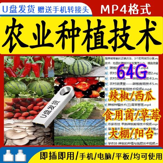 农业种植技术视频教程U盘辣椒西瓜芽苗菜菌菇种植蔬菜种植资料盘