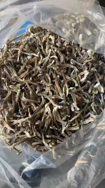 鹿茸菇干货鹿茸菌 去根鹿茸菇 精选煲汤菌菇