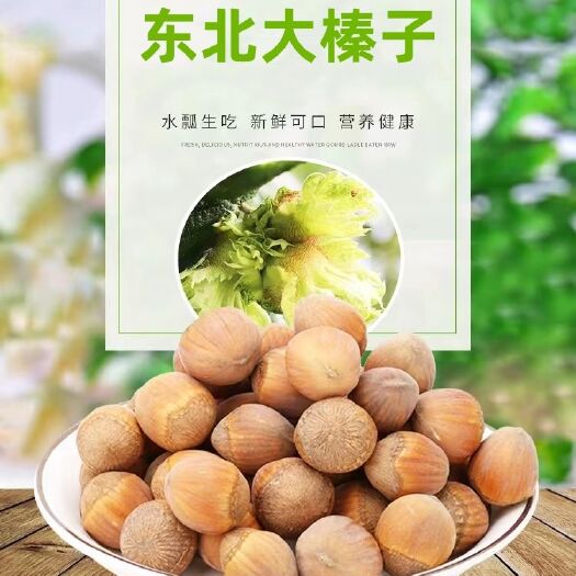 新货脱皮榛子新鲜青皮东北大榛子铁岭特产真子铁岭特产