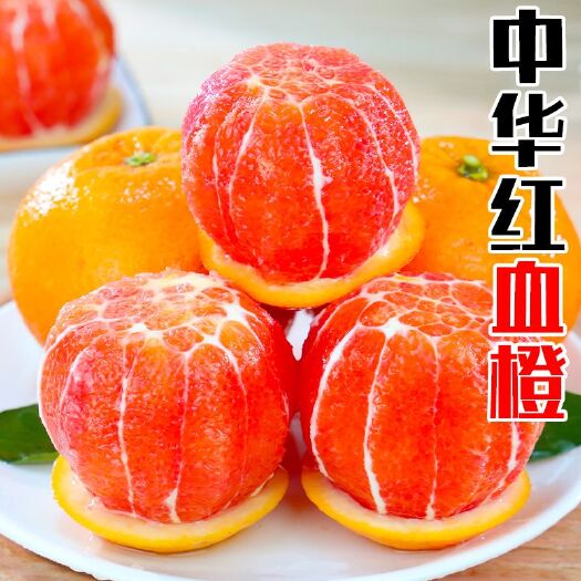 秭归县中华红橙当季应季新鲜水果一整箱批发