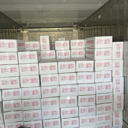唐山大卤虫丰年虫