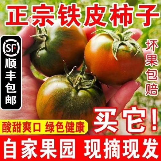 草莓柿子铁皮柿子当季新鲜整箱
