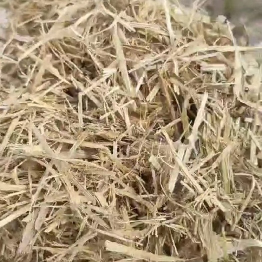 利辛县柔丝稻草
