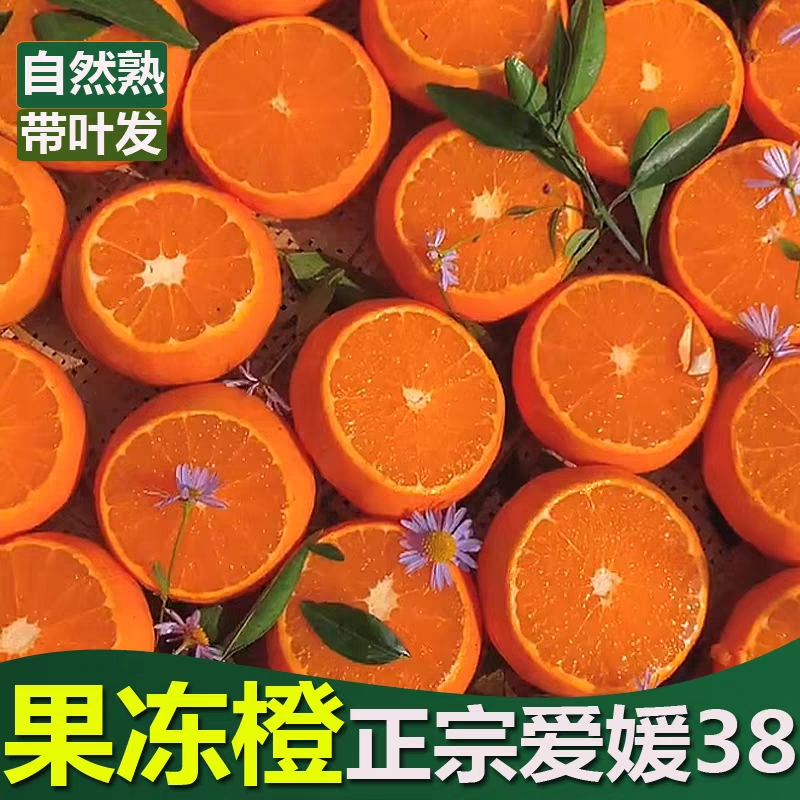 爱媛果冻橙~耙耙柑