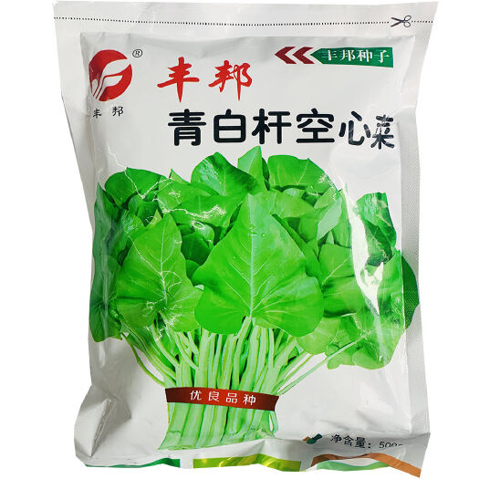 沭阳县正品丰邦三叉大叶空心菜种子耐旱正大叶空心菜籽大棚露天用蔬菜