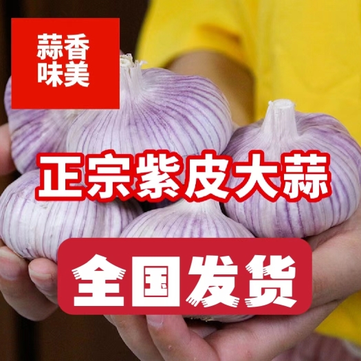沂水县新干蒜，出口，市场，加工全国代发，价格最低