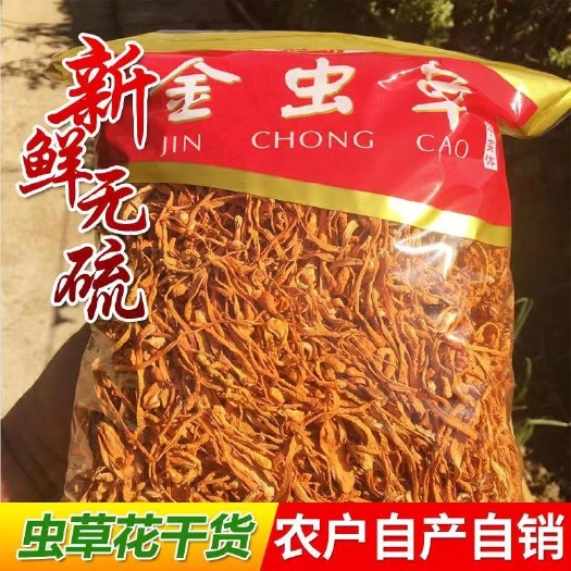 北虫草虫草花干货批发蛹虫草