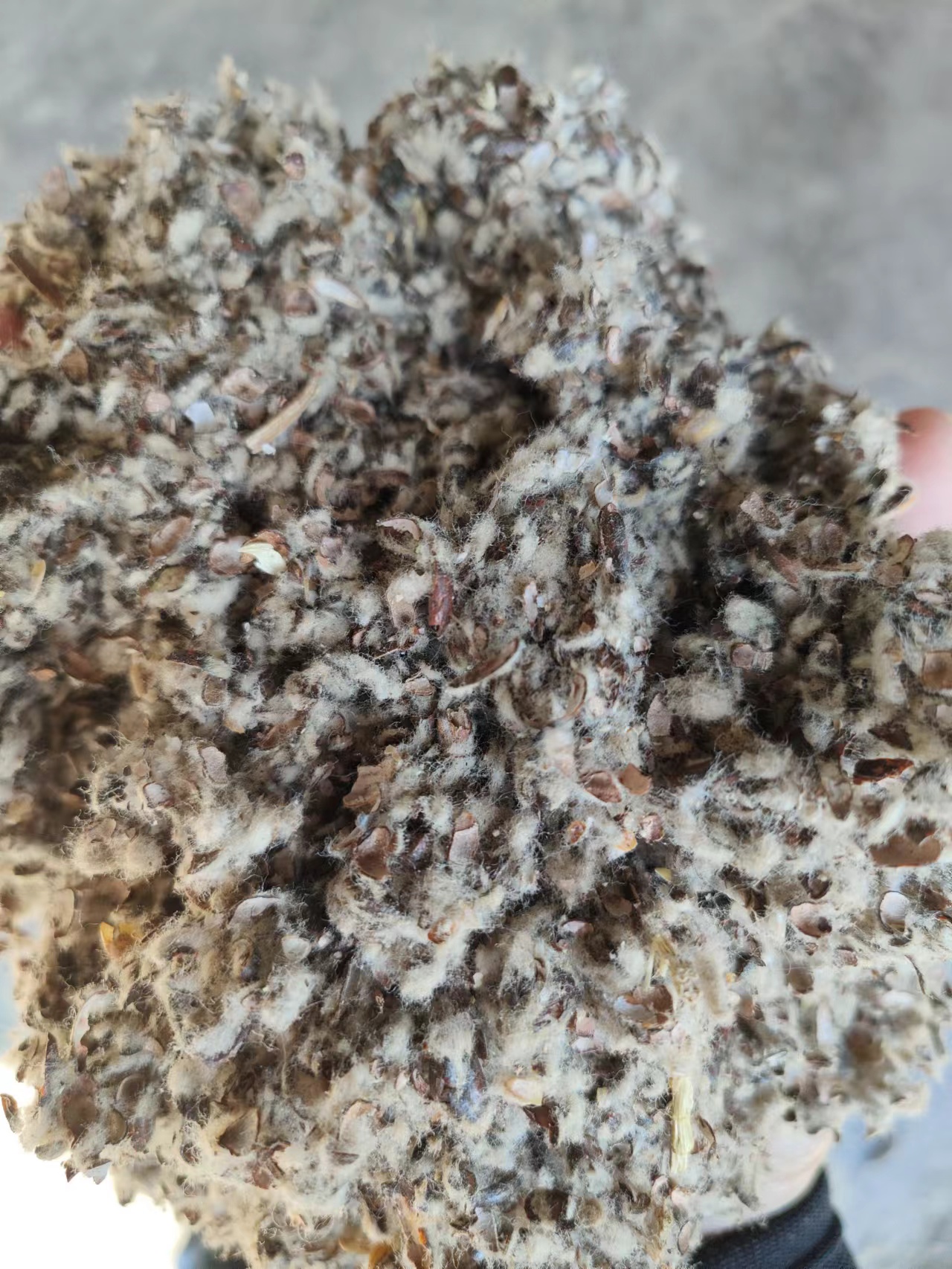 优质棉壳常年面向广东韶关深圳珠海优价发货