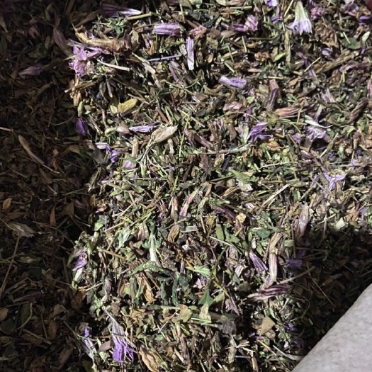关岭县龙胆草