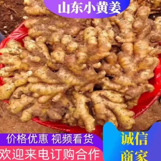 小黄姜，货源充足，支持全国各地发货，