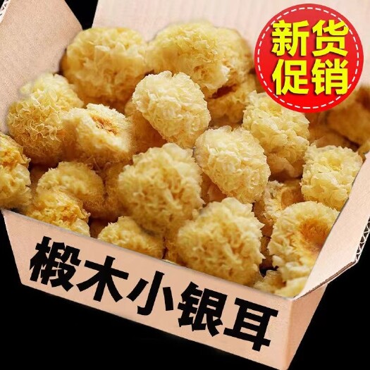 古田县椴木小银耳干货批发，各个价格段都有
