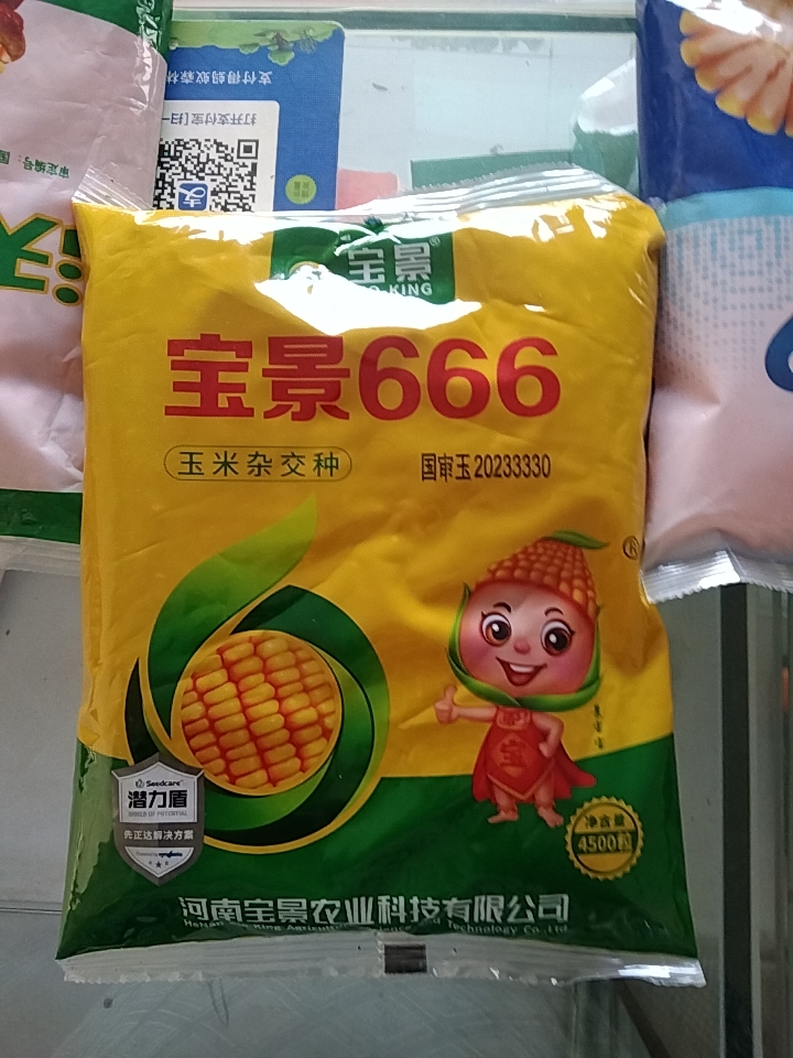 宝景666玉米种子，一袋4500粒，黄金粮，潜力盾，