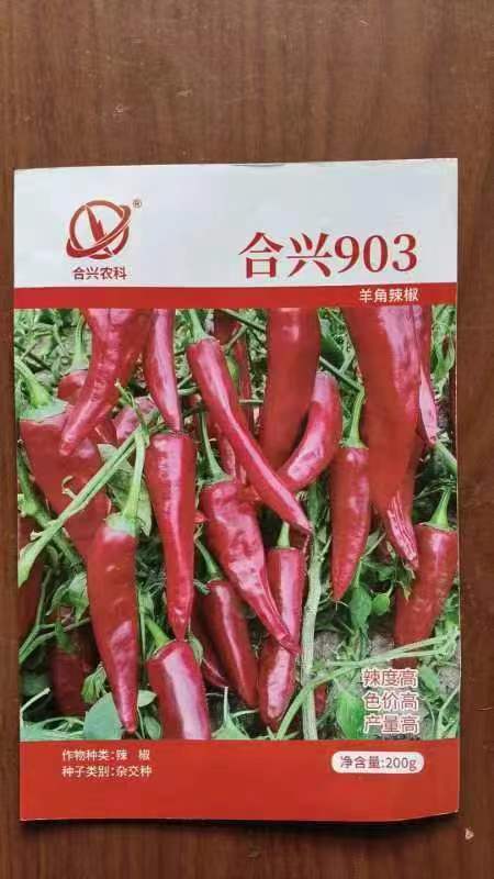 武山县朝天椒苗 8～10片真叶