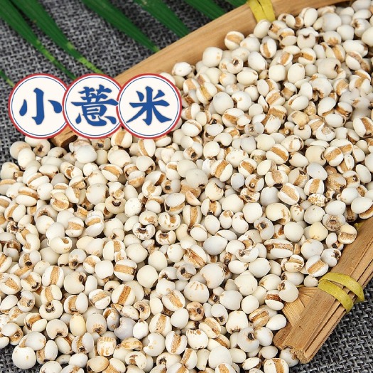 直供贵州小薏米新货500g薏米仁薏苡仁五谷杂粮现货热卖