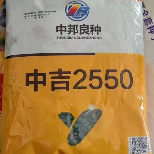 赤峰中吉 2550高密植品种，最高保苗 8000 株