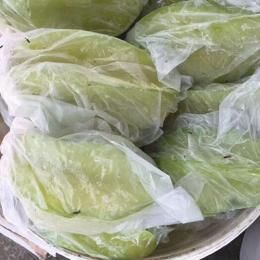 化州市香蜜杨桃，种植300多亩，大量供应