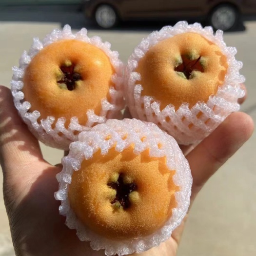 蒙自市蒙自枇杷