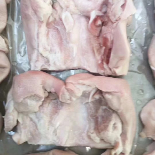 成都短鼻子