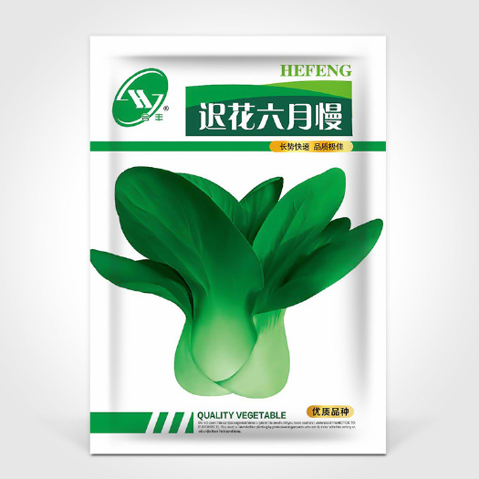 河间市上海青种子四季油菜农田菜园基部大叶片肥厚柔嫩青菜叶菜蔬菜籽