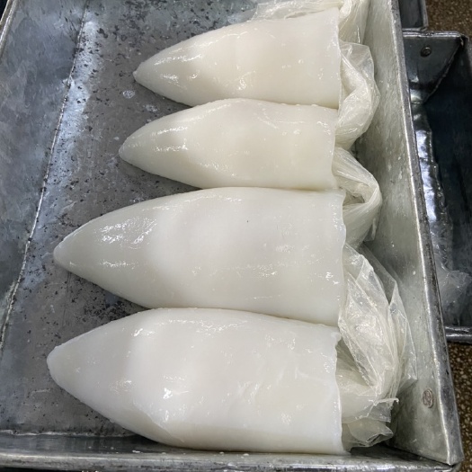 北海墨鱼筒
