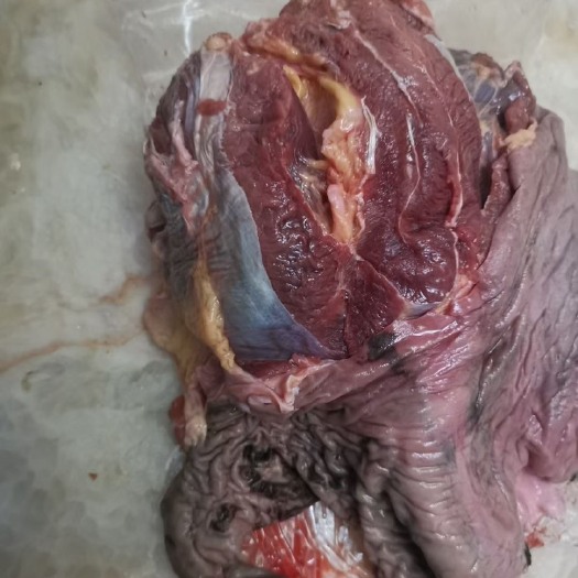 济南带皮驴肉