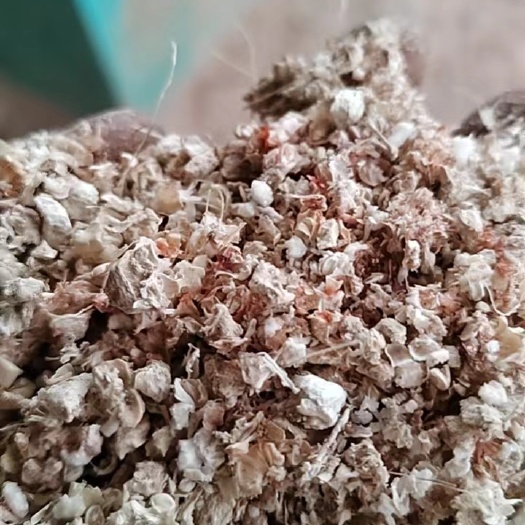 优质玉米芯常年面向云南省文山西双版纳大理优价发货