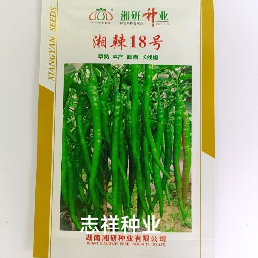 华容县湖南辣椒 湘研牌湘辣18号长线椒种子 早熟耐低温皮薄味辣