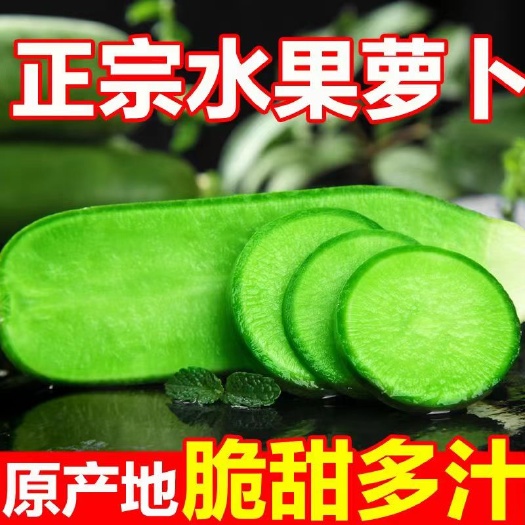 天津青萝卜  天津，小沙窝水果萝卜，脆甜多汁赛鸭梨